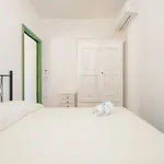 Euforbia Complex