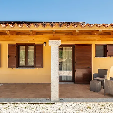 Euforbia Complex 3*