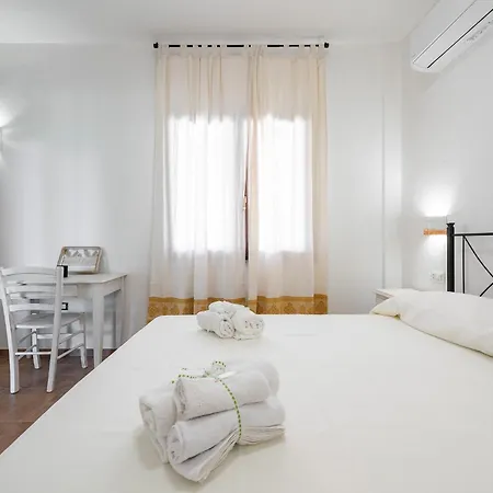 Euforbia Complex 3*