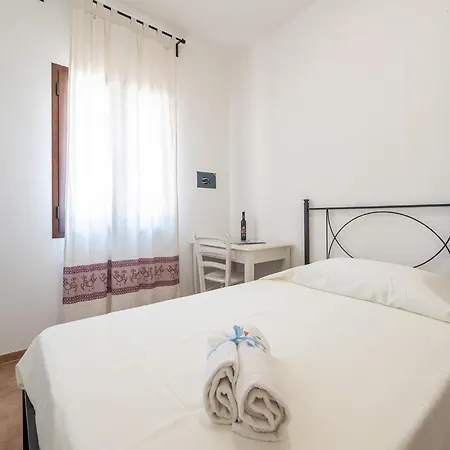 Euforbia Complex