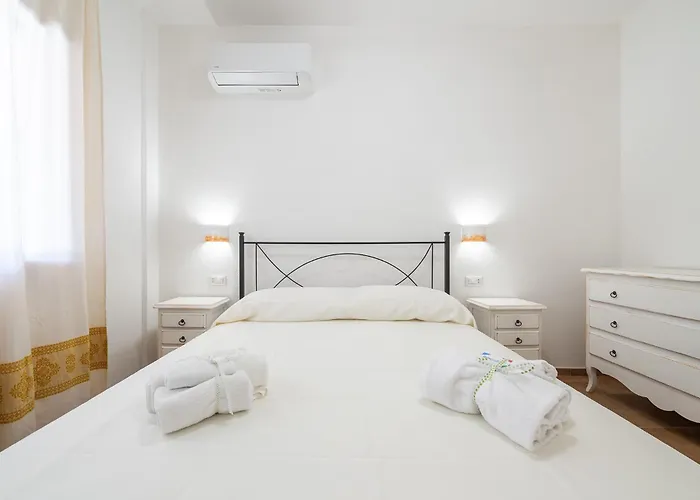 Euforbia Complex 桑塔露琪亚